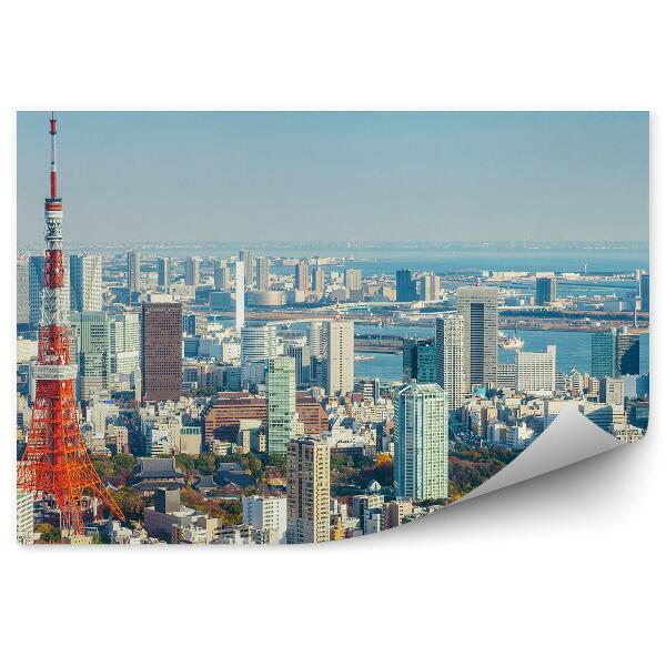 Fototapeta Mrakodrapy nebo Tokio Japonsko