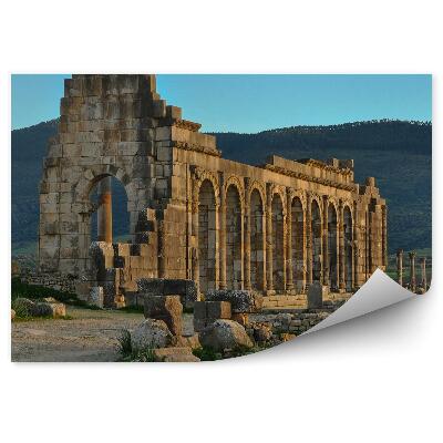 Fototapeta na stenu Ruševine antičnega rimskega mesta