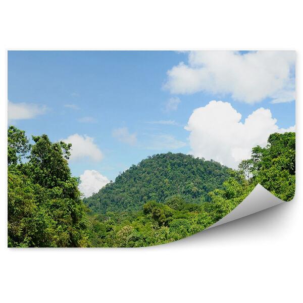Fototapeta Borneo les kopec cesta stromy príroda
