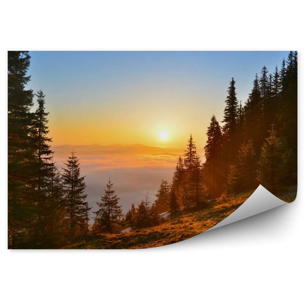 Fototapeta na stenu Horský les na jar