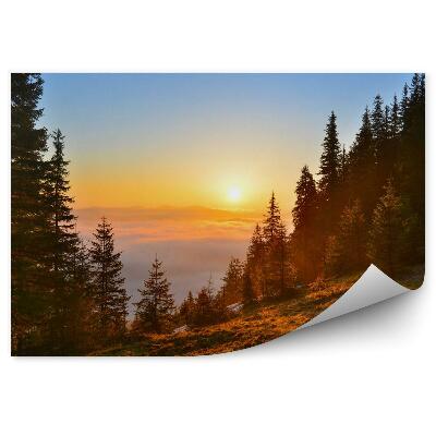 Fototapeta na stenu Horský les na jar