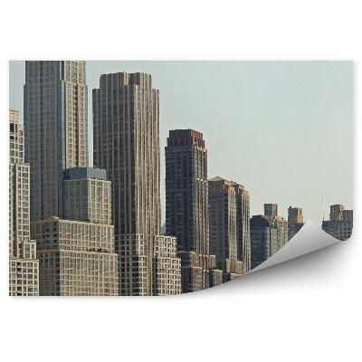 Fototapeta Mrakodrapy Manhattan most stromy New York