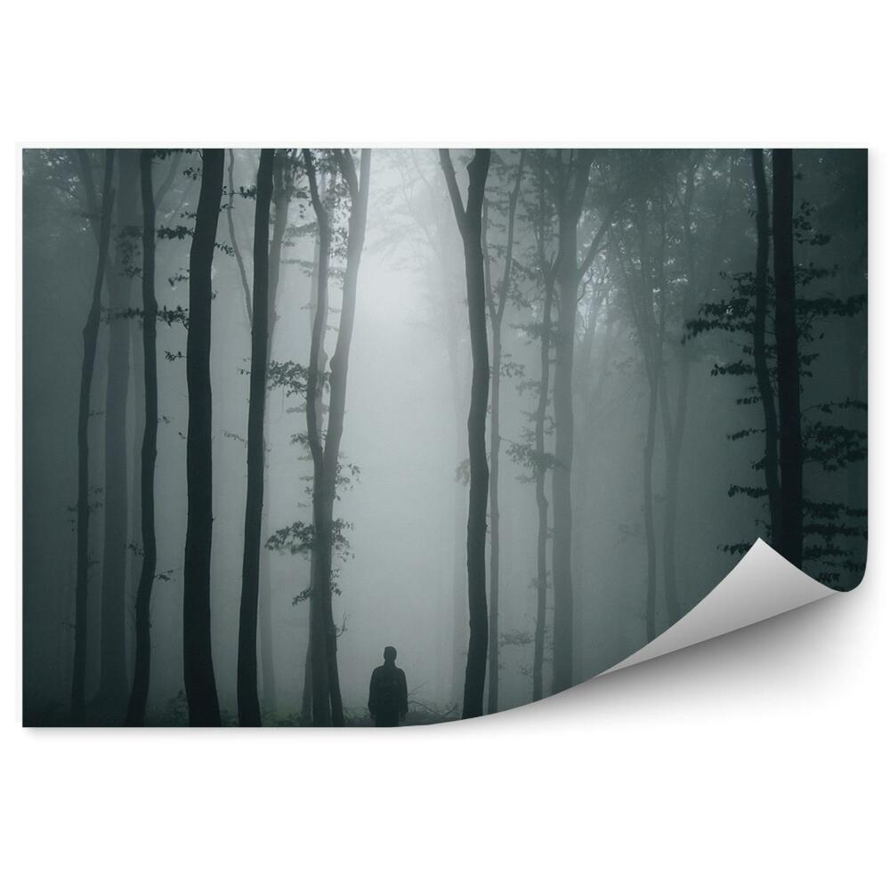 Fototapeta na stenu Muž tmavý les