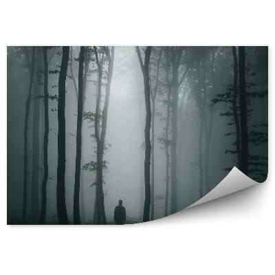 Fototapeta na stenu Muž tmavý les