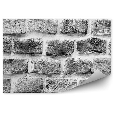 Fototapeta na stenu Tehlový múr