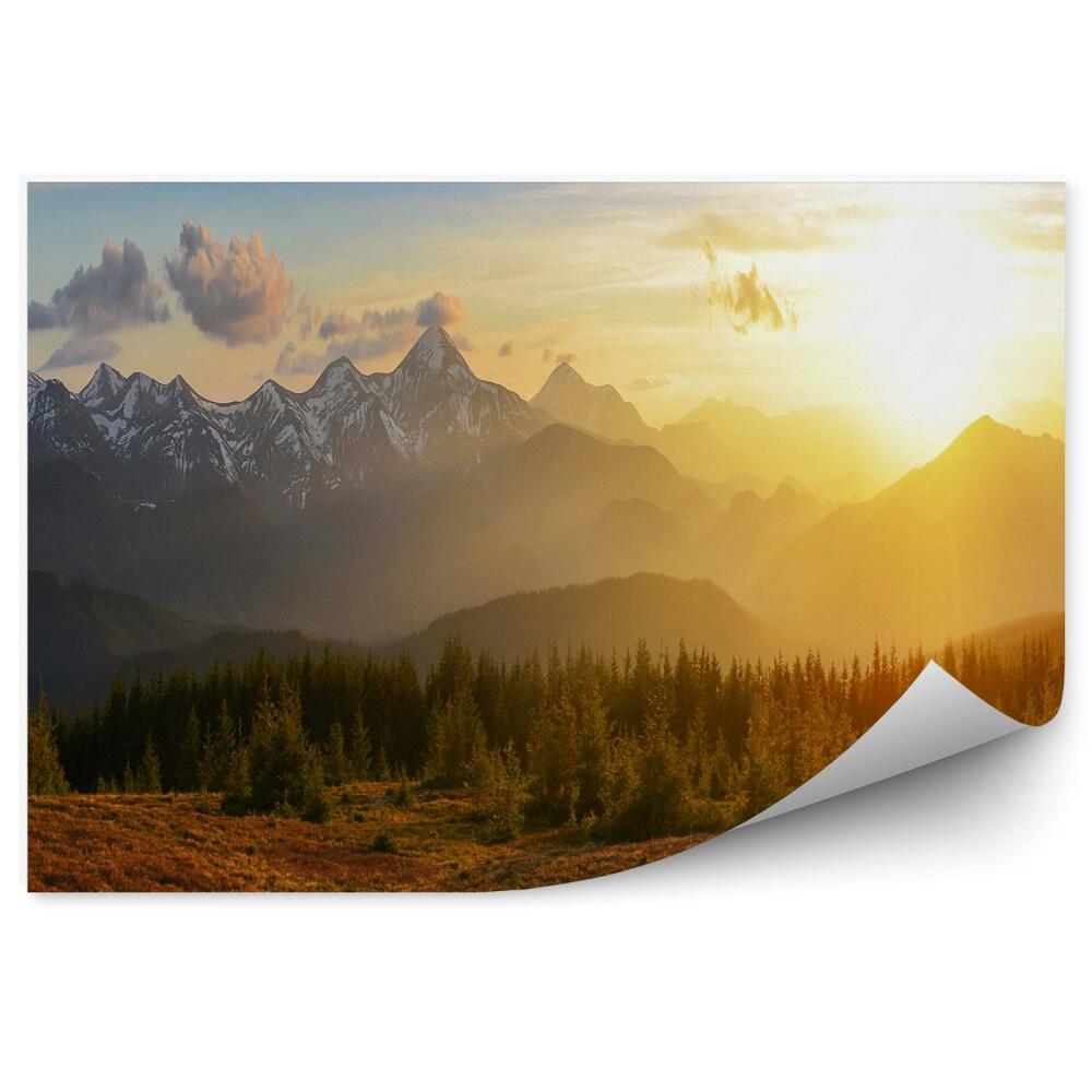 Fototapeta na stenu Horský les pri východe slnka