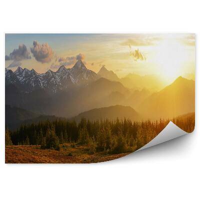 Fototapeta na stenu Horský les pri východe slnka