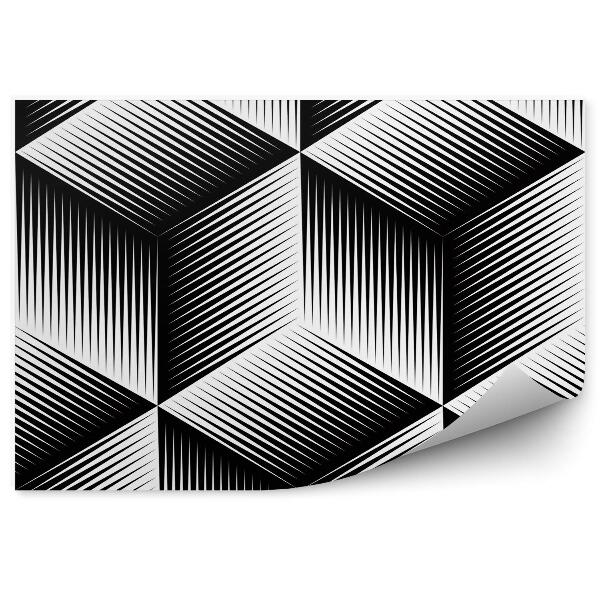 3d fototapeta Čiernobiely iluzívny abstraktný geometrický vzor 3d