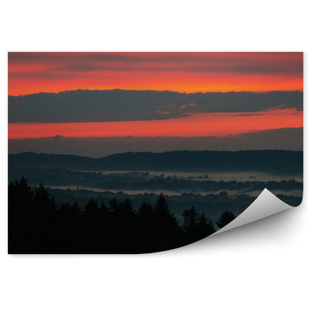 Fototapeta Západ Slnka Ihličnaté Stromy Hmla