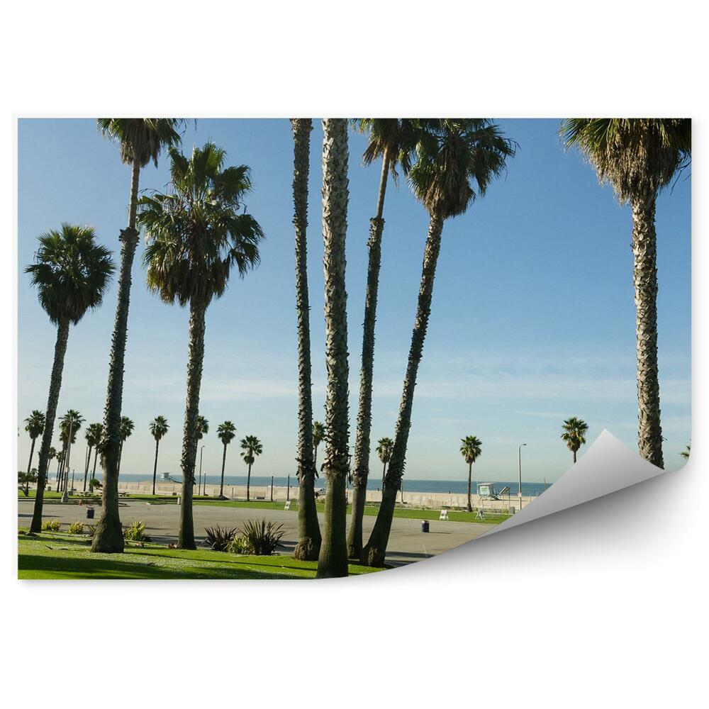 Fototapeta na stenu Palms sky road ocean palms california