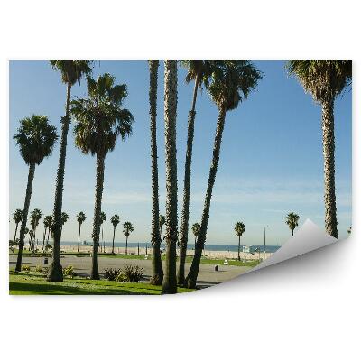 Fototapeta na stenu Palms sky road ocean palms california