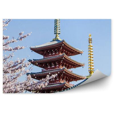 Fototapeta Asakusa Japonsko Sakura Chrámy Kultúra