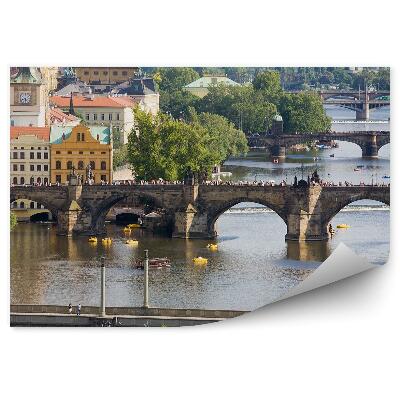 Fototapeta na stenu Praga mostovi pokrajinska arhitektura