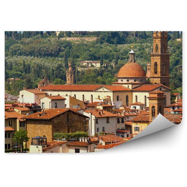 Fototapeta na stenu Oltrarno Spirito Florencia stromy Florencia Taliansko