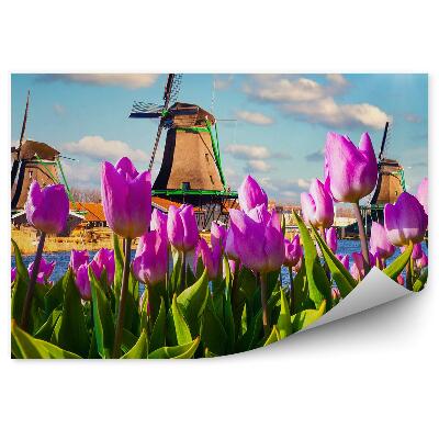 Fototapeta na stenu Pogled na mline na veter s polja tulipanov