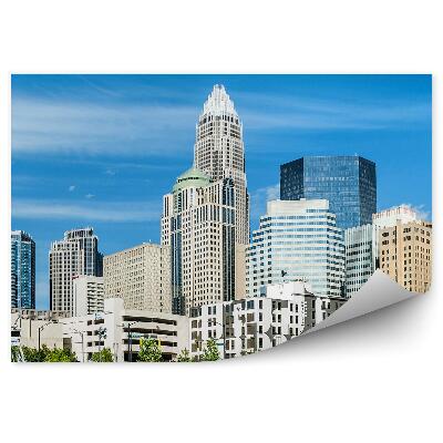 Fototapeta na stenu Charlotte panoráma mesta new york stromy ľudia