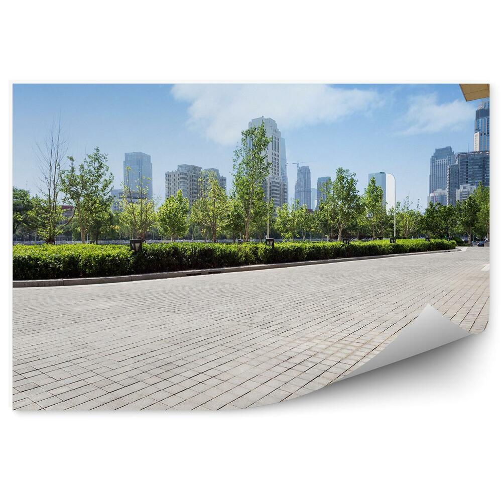 Fototapeta Dláždená tehlová cesta s pozadím mesta