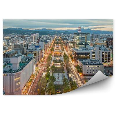 Fototapeta Sapporo Japonsko Budova Architektúra