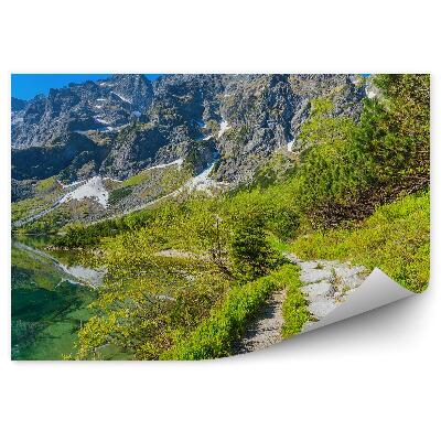 Fototapeta na stenu Cesta medzi zelenými smaragdovými vodnými horami