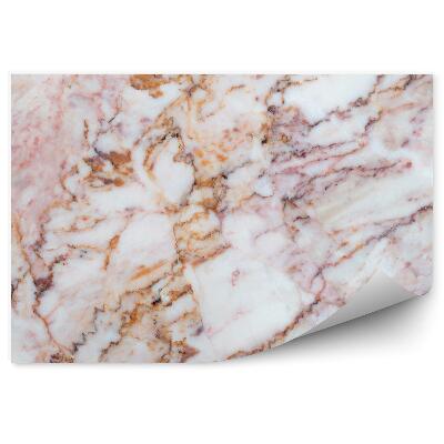 Fototapeta na stenu Mramor s ružovým žilkovaním