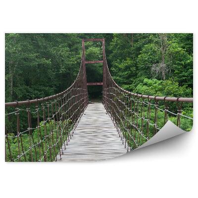 Fototapeta na stenu Dažďový prales stromy príroda lanový most