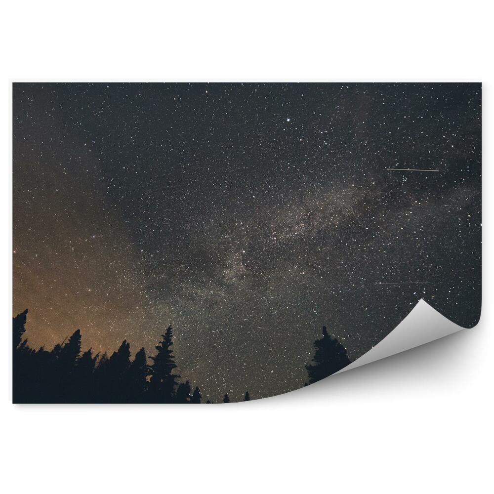 Fototapeta Hviezdy Breckenridge Les Tiene Obloha Mliečna Dráha