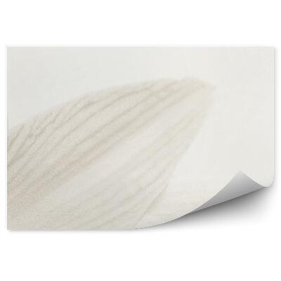 Fototapeta na stenu Sivé Okvetné Lístky Ľalií Biele Pozadie