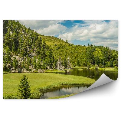 Fototapeta alpské jazero hory ihličnaté stromy obloha mraky skaly