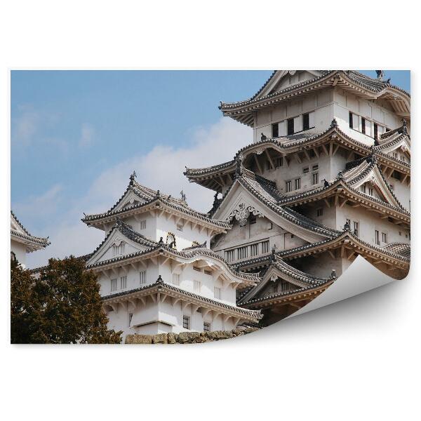 Fototapeta na stenu Biely Hrad Japonsko Príroda