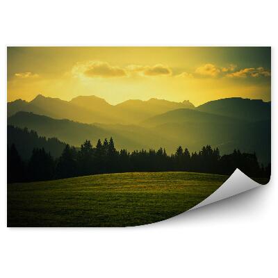 Fototapeta na stenu Malebná horská poľana