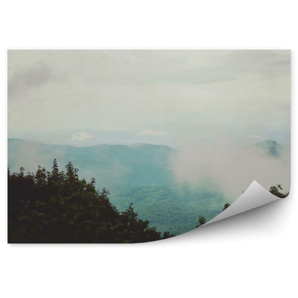 Fototapeta na stenu Pochmúrny les