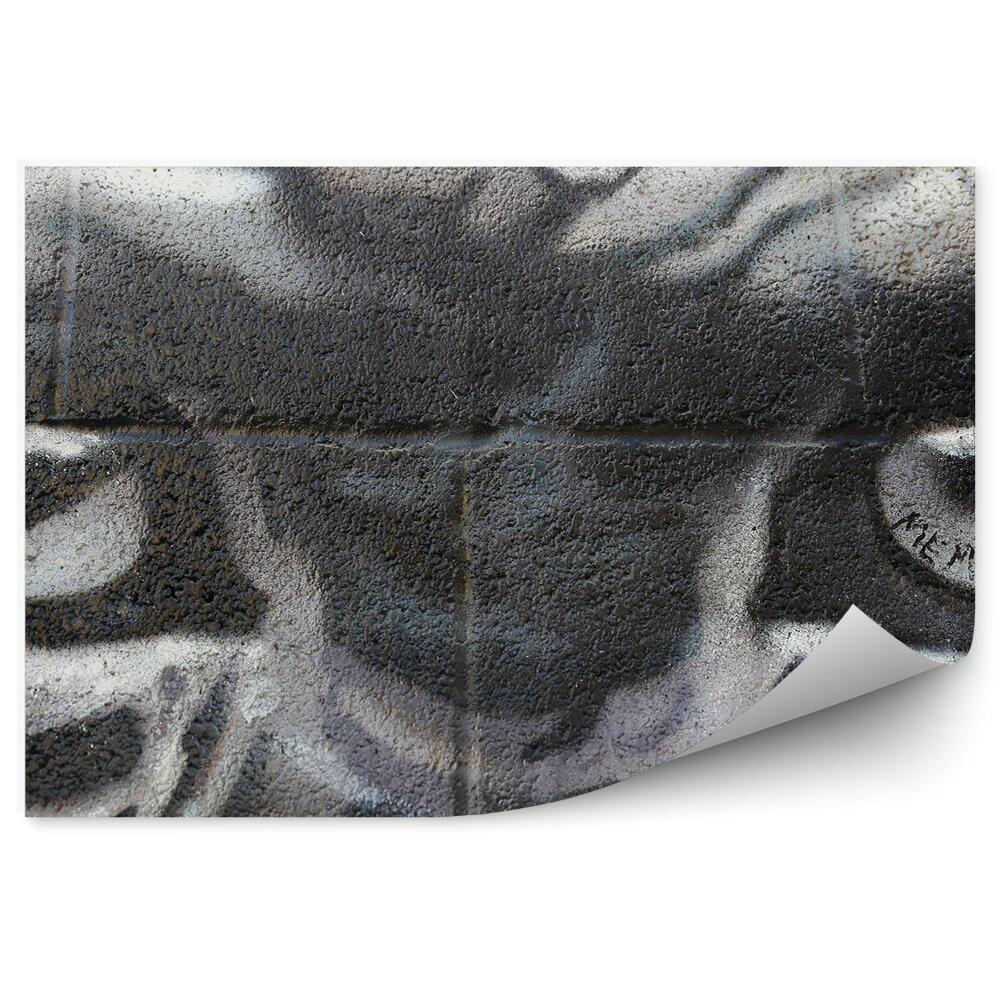 Fototapeta na stenu Graffiti opičie oči