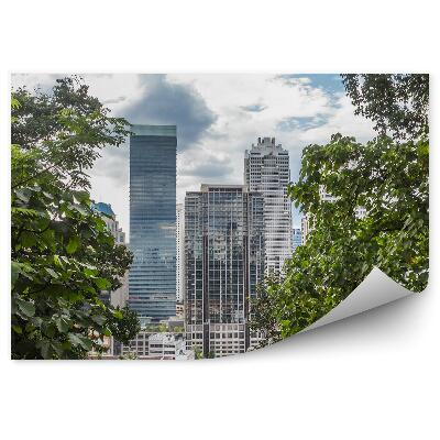 Fototapeta Mesto listy stromy džungľa