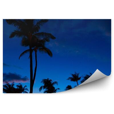 Fototapeta na stenu Palmy nočná obloha mraky