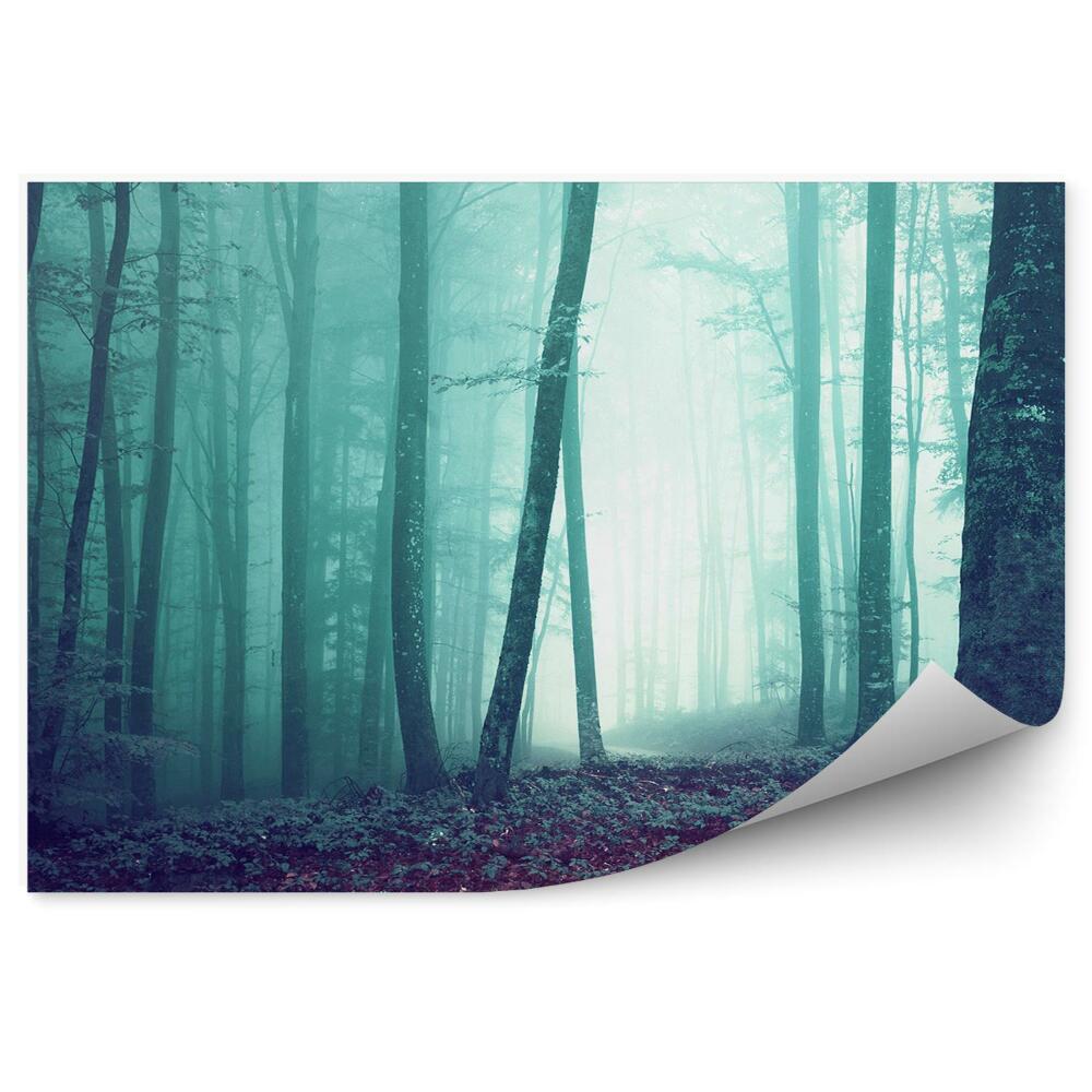 Fototapeta Zelená hmla farby lesných stromov