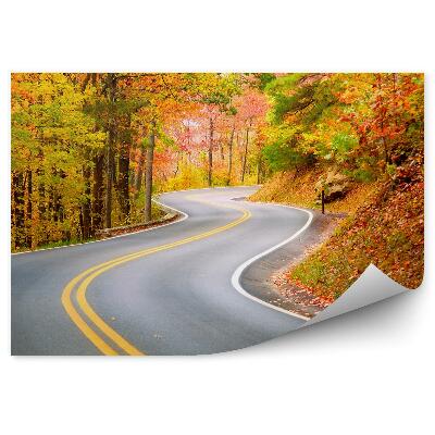 Fototapeta Jesenný Les Kľukatá Prázdna Cesta