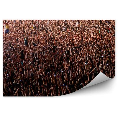 Fototapeta na stenu Dav koncert ľudia hudba