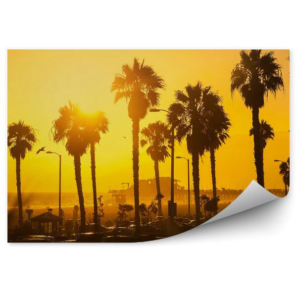 Fototapeta Západ slnka palmy autá pláž Los Angeles