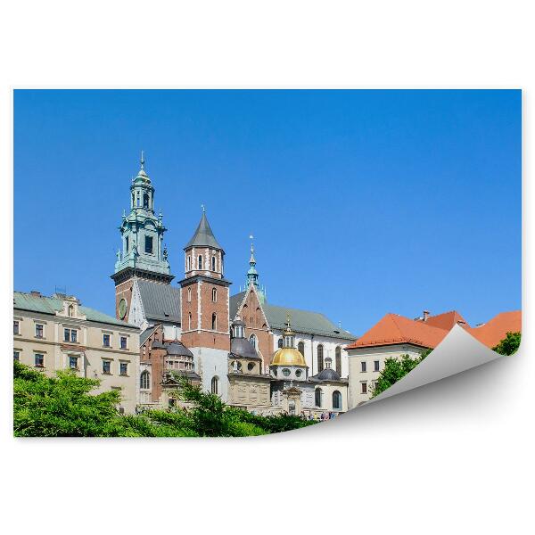 Fototapeta na stenu Katedrála Wawel stromy rastliny nebo Krakov