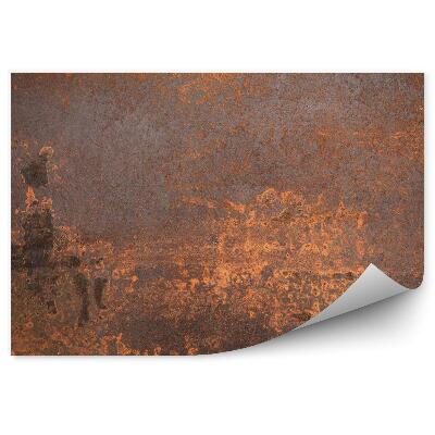 Fototapeta Zhrdzavený kov