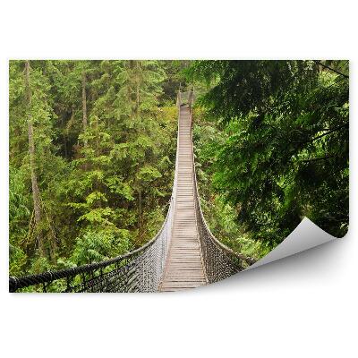 Fototapeta na stenu Lynn Ihličnatý Les Lanový Most