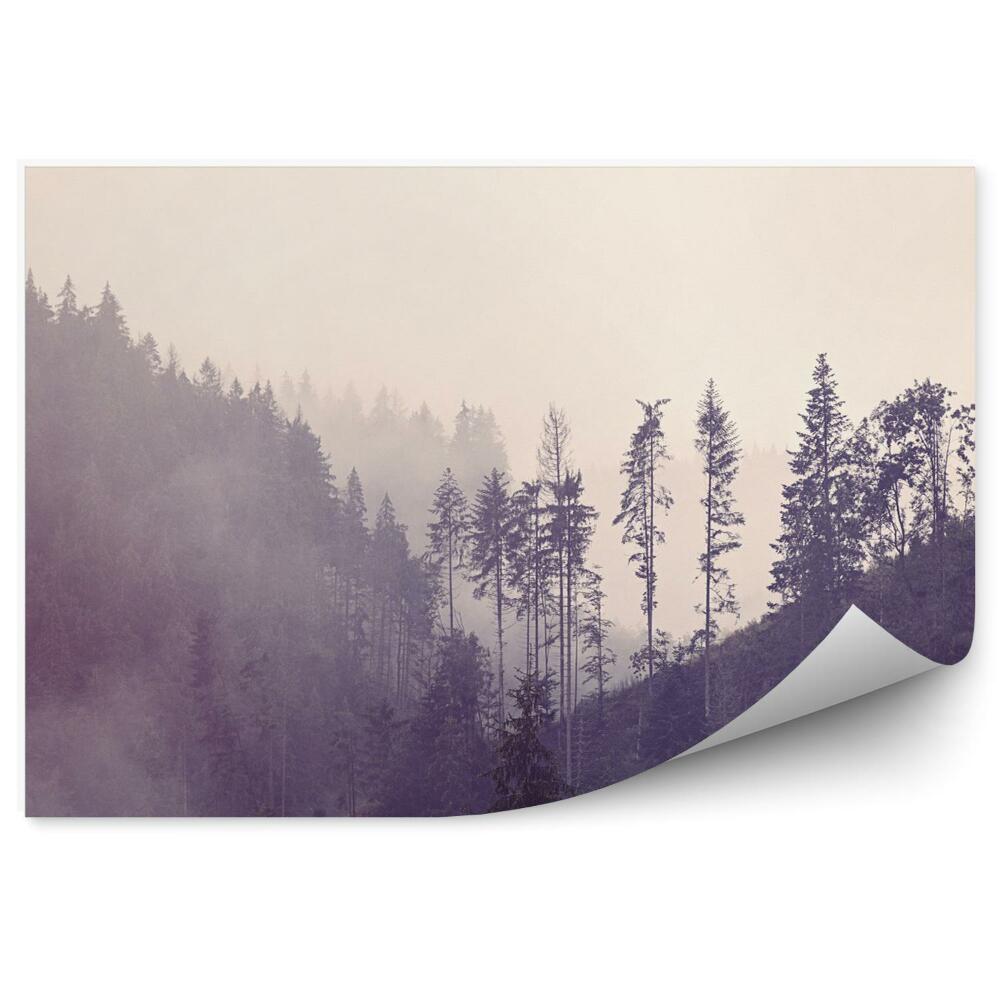 Fototapeta Les v hmle