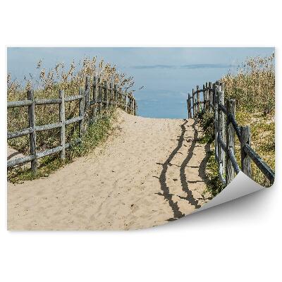 Fototapeta na stenu Pláž Sanbridge Tráva Rastliny Obloha Mraky Virginia