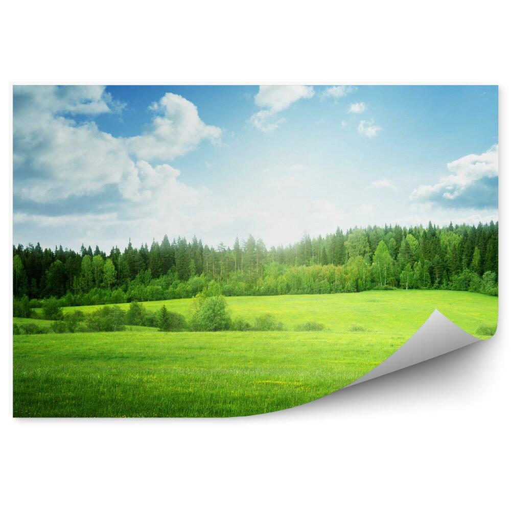 Fototapeta na stenu Trávnaté pole modrá obloha mraky