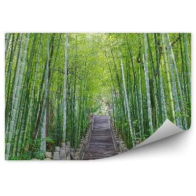 Fototapeta Kamenné schody bambusový les stromy