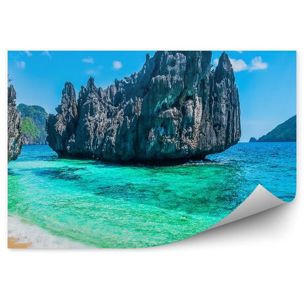 Fototapeta na stenu Skaly Rastliny Pláž Oceán Obloha Mraky