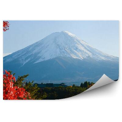 Fototapeta na stenu Javor príroda obloha jeseň Fuji hory jazero