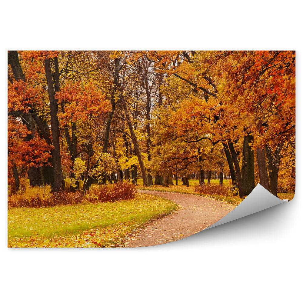 Fototapeta Farebný jesenný park stromová cesta