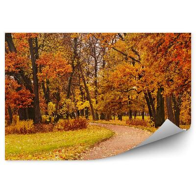 Fototapeta Farebný jesenný park stromová cesta