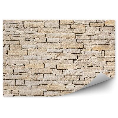 Fototapeta na stenu Tehla pieskovej farby